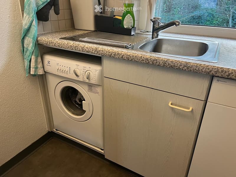 Bathroom with a sink, faucet, washing machine, dishwasher, and cleaning supplies on the counter.