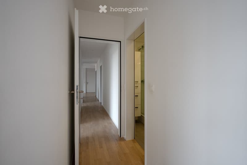 A long, narrow hallway with light wooden flooring and white walls, featuring several doors and a visible closet with mirrored doors on one side.