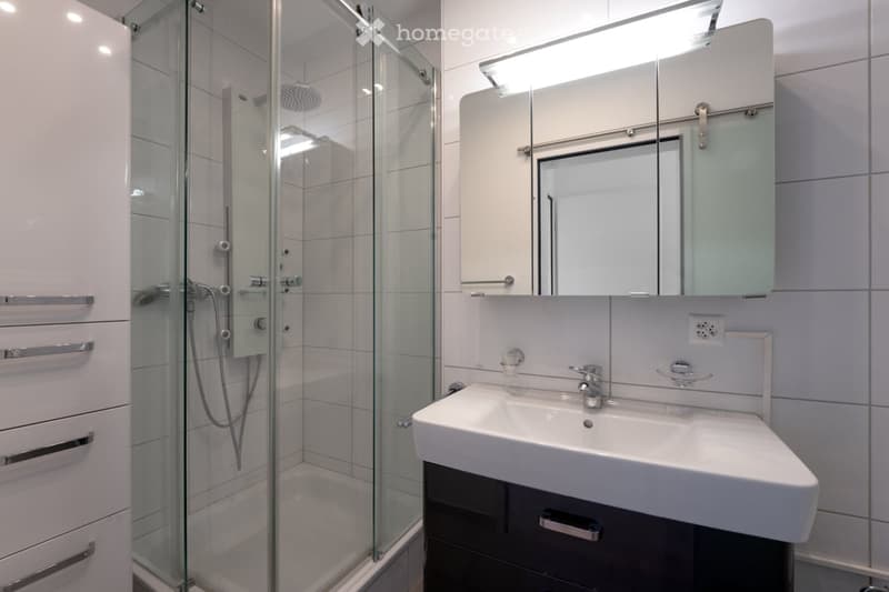 Modern bathroom with a white sink, mirrored cabinet, and glass-enclosed shower stall.