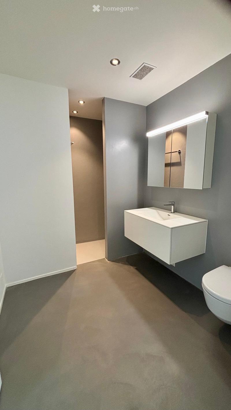 Modern bathroom with a white sink, chrome faucet, built-in mirror cabinet, and a toilet. Grey walls and carpeted floor.