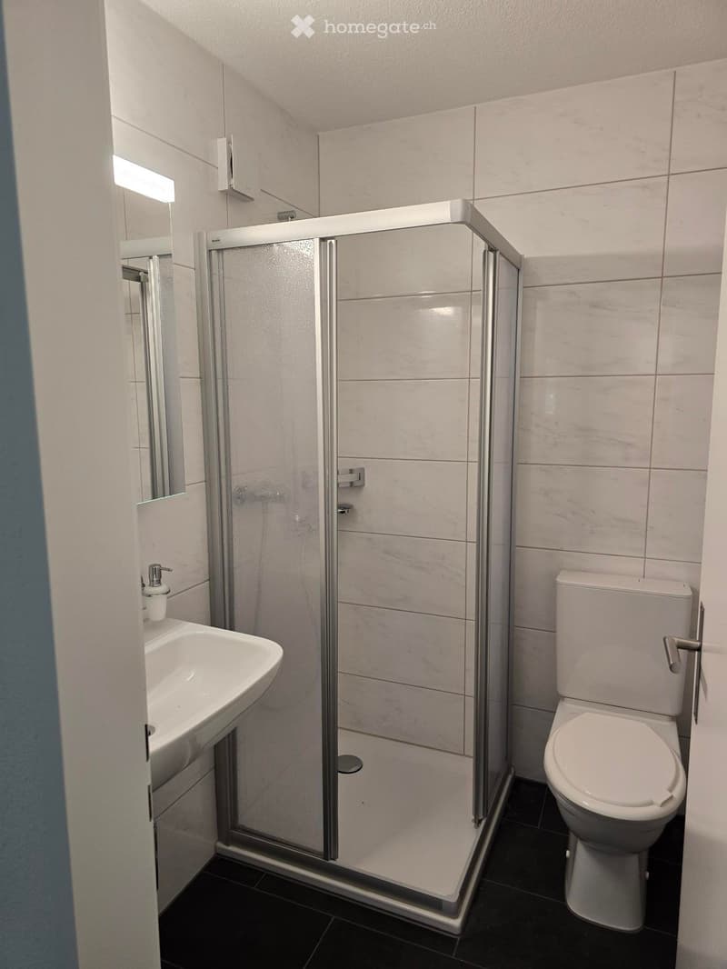 Modern bathroom with a white sink, toilet, and glass-enclosed shower. The walls are tiled in light grey, and the floor is dark.