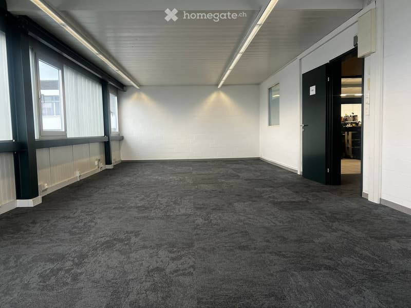 Empty room, carpeted floor, white walls, large windows, 2 doors