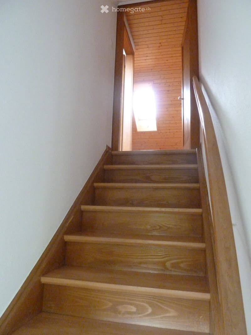 Wooden staircase with a handrail, leading to an open area with wooden walls and a skylight above.