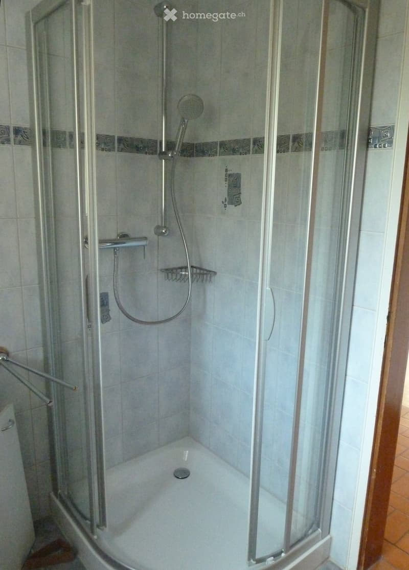 Modern shower stall with glass enclosure, handheld showerhead, and built-in shelf. Light blue tiles and chrome fixtures.