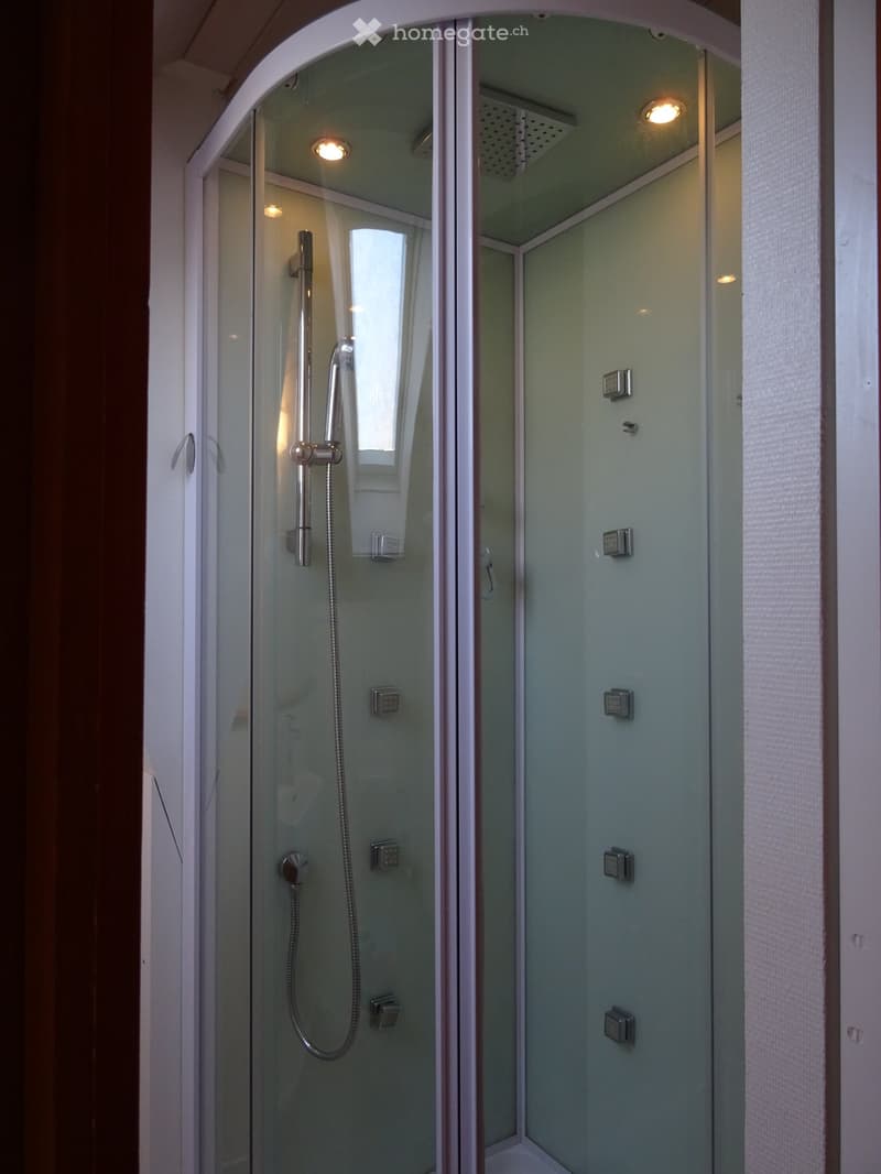 Modern walk-in shower with glass enclosure, multiple showerheads, and control panels.