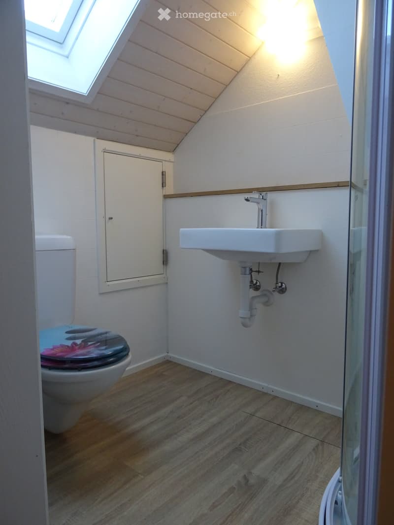 Cozy attic bathroom with wooden walls and floor, featuring a toilet, sink, and skylight window for natural light.