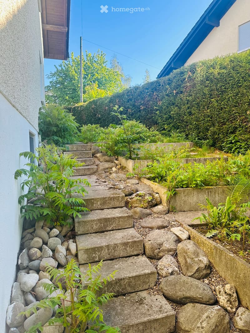 A garden area with a stone pathway, surrounded by rocks and plants, leading up to a house with a wooden shuttered window and a blue roof.