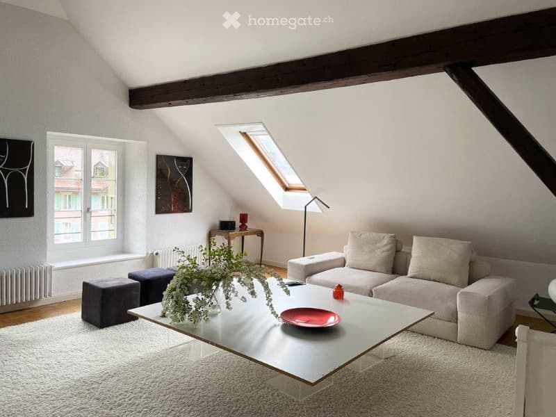 Appartement meublé- Quartier de Rive (3)