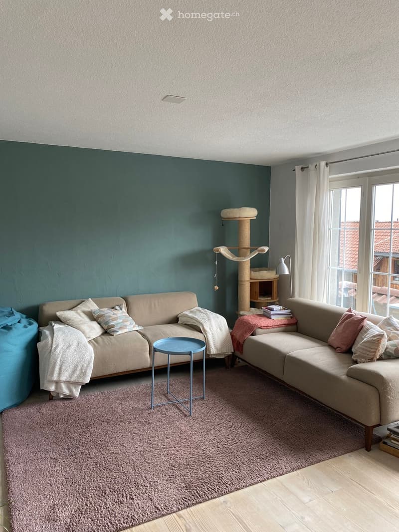 Living room with a light grey sectional sofa, a small blue coffee table, a cat tree, a table lamp, and a pink shag rug.
