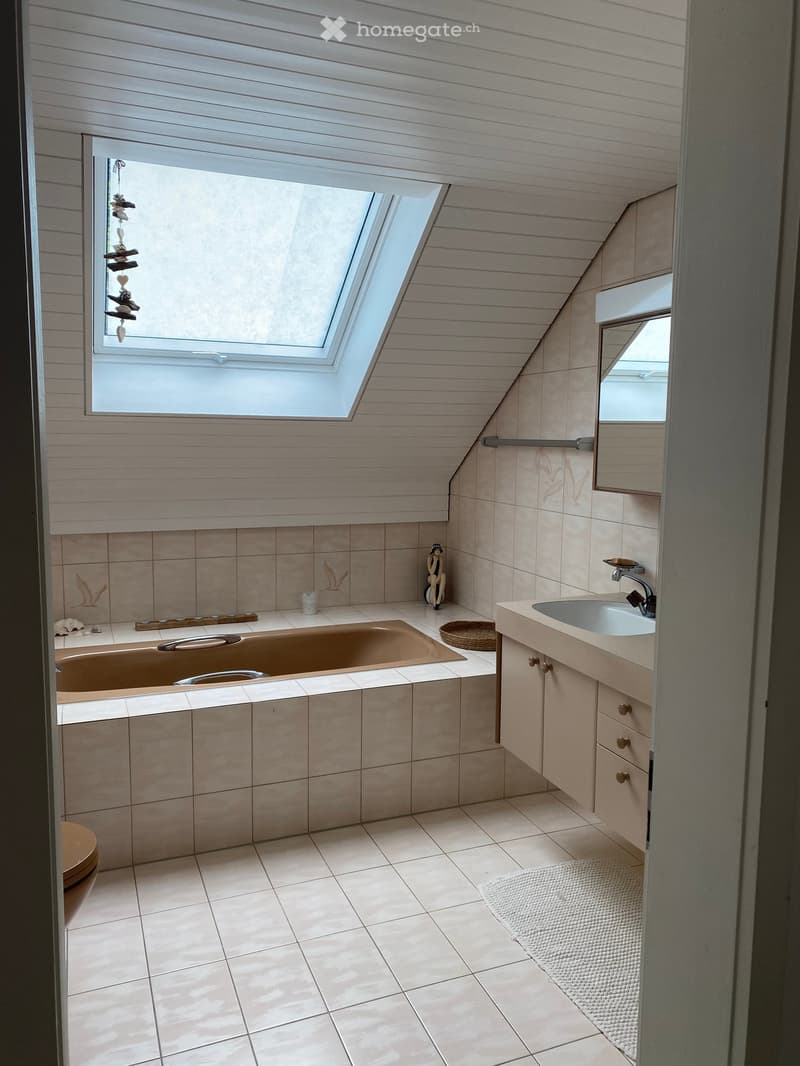 Modern bathroom with a large skylight window, bathtub, sink, mirror, and cabinetry.