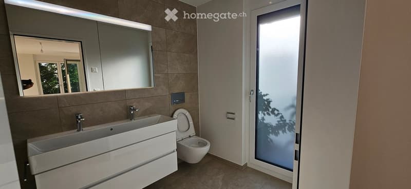Modern bathroom with a double sink, toilet, large mirror, and frosted glass door leading outside.