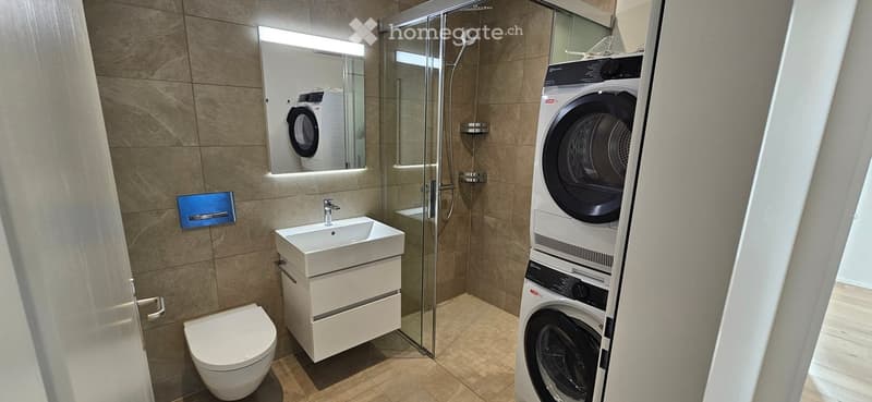 Modern bathroom with a white sink, toilet, mirror, and a stacked washer/dryer unit. Features a glass-enclosed shower with a modern design.