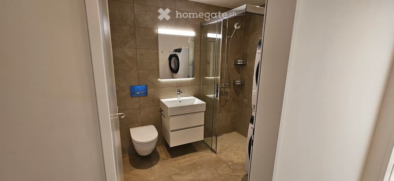 Modern bathroom with a toilet, sink, mirror, and a glass-enclosed shower. A washing machine is visible in the background.