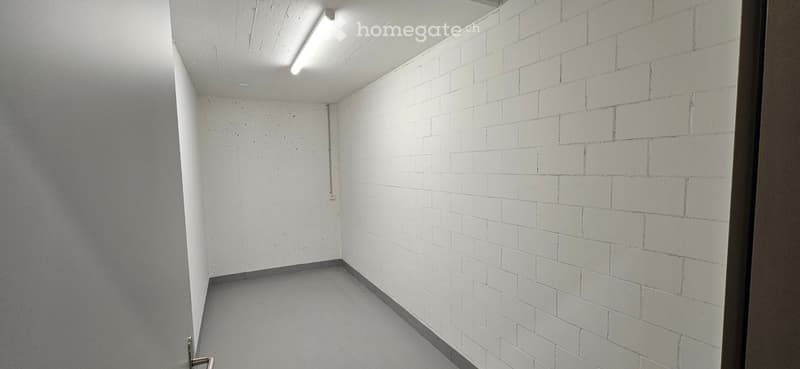 Empty room with white brick walls and a smooth concrete floor, featuring a single door and a fluorescent light fixture on the ceiling.