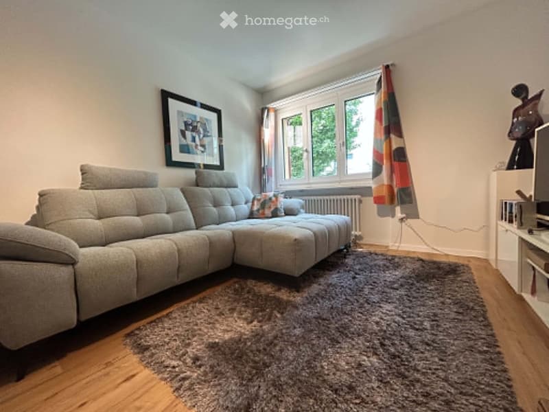 Modern living room with a grey sectional sofa, throw pillow, TV stand, picture frame, and a grey rug on wooden flooring.