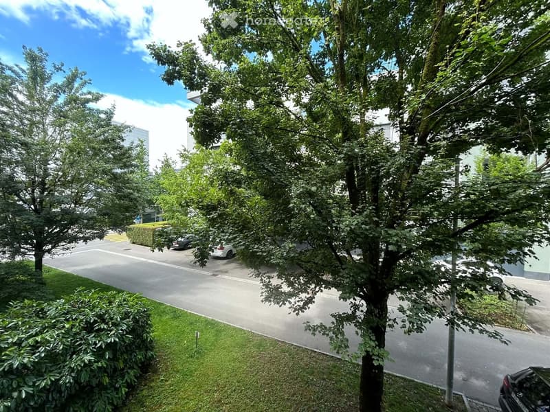 A well-maintained garden area with trees, shrubs, and a paved pathway leading to a parking area with several parked cars.