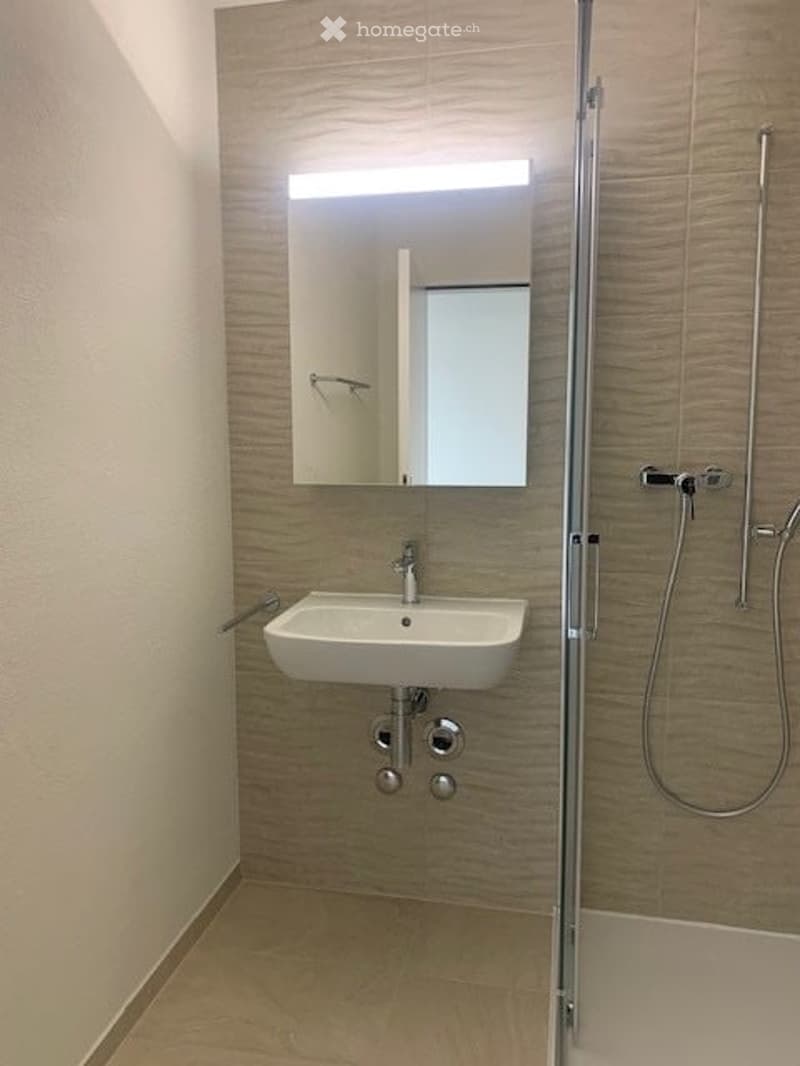 Modern bathroom with a white sink, a large mirror with built-in lighting, and a glass-enclosed shower area.