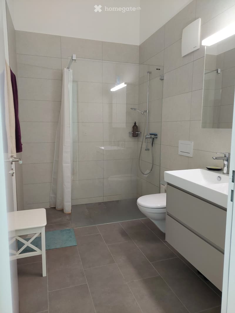 Modern bathroom with a white toilet, sink, mirror, and glass-enclosed shower. Features a white stool, a towel, and a small blue rug on the floor.