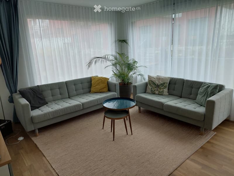 Modern living room with two grey sofas, a glass coffee table, a small wooden stool, a potted plant, and a large area rug on a wooden floor.