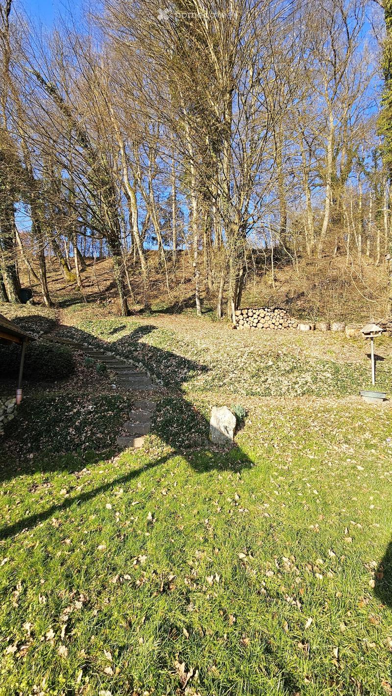 A grassy outdoor area with a stone pathway leading up a slight hill, surrounded by trees and a stack of firewood on the right side.