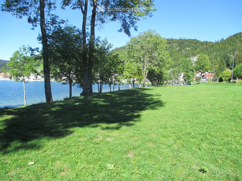 A grassy park area with trees, a body of water, and distant houses on a hillside.