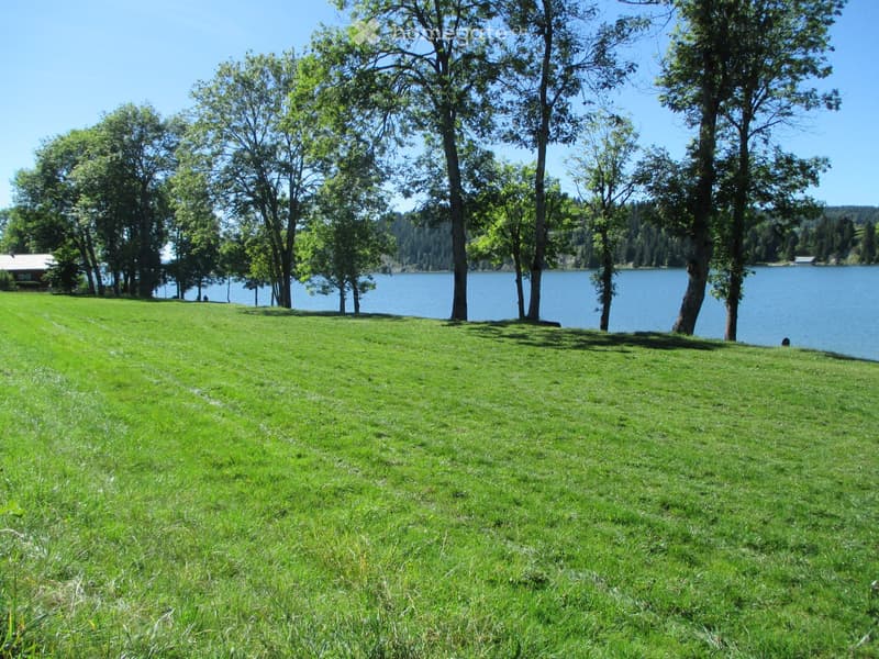 Lush green lawn with tall trees and a serene lake in the background, surrounded by a forested area.