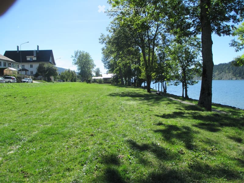 Lush green lawn with trees, a body of water in the background, and a house with a driveway and parked cars nearby.
