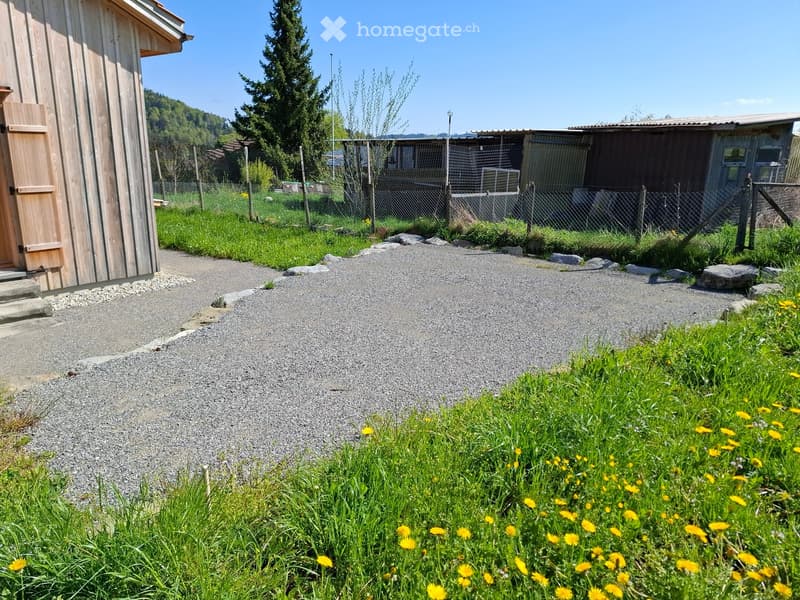 Gravel pathway leading to a wooden shed, surrounded by grass, wildflowers, and a fenced area with trees and structures in the background.