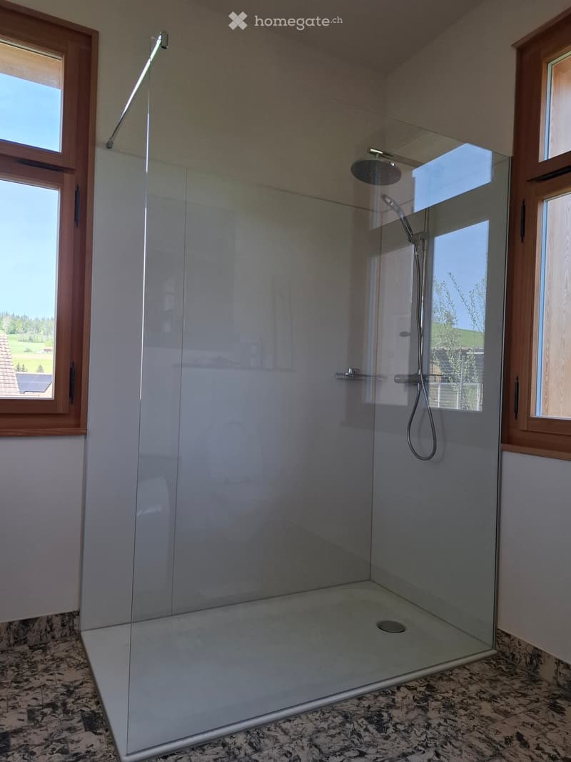 Modern shower stall with glass enclosure, handheld showerhead, and overhead showerhead. The stall is framed in wood and has a tiled floor.