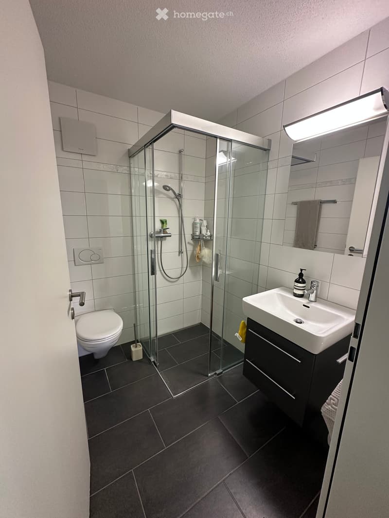 Modern bathroom with white tiles, black floor tiles, a glass-enclosed shower, a toilet, a sink with a dark wooden cabinet, and a mirror above the sink.