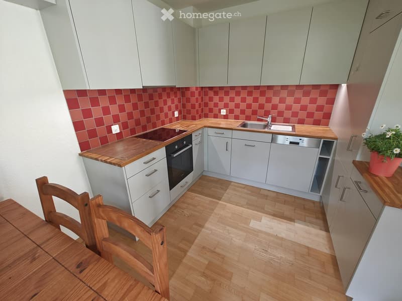 Modern kitchen with light grey cabinets, wooden countertops, and a red tiled backsplash. Includes a wooden dining table with chairs, an oven, sink, faucet, dishwasher, and a potted plant on the counter.