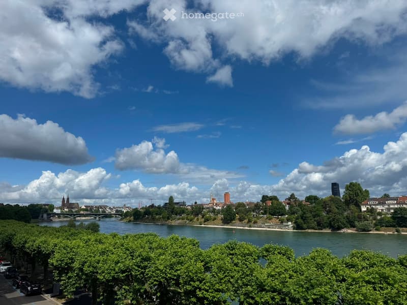 Scenic view of a river with a bridge, cityscape in the background, and lush green trees in the foreground.