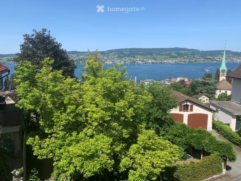 View from a balcony or terrace overlooking a lake, with trees, a small building with a garage, and a distant church tower visible.
