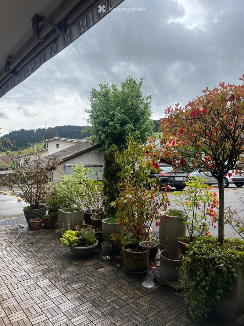 A wooden deck area with multiple potted plants and trees, overlooking a parking lot and residential buildings.
