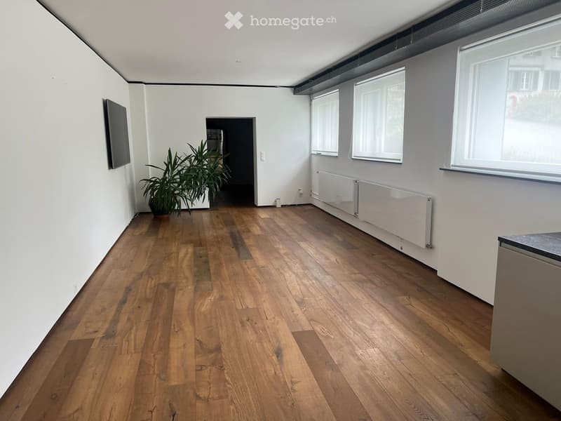 Empty room with wooden flooring, white walls, large windows, radiator, and a potted plant near the doorway.