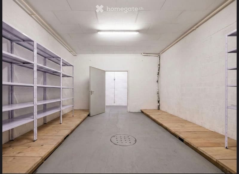 Empty room with white walls, grey floor, metal shelving units on both sides, and a single door leading to another space.