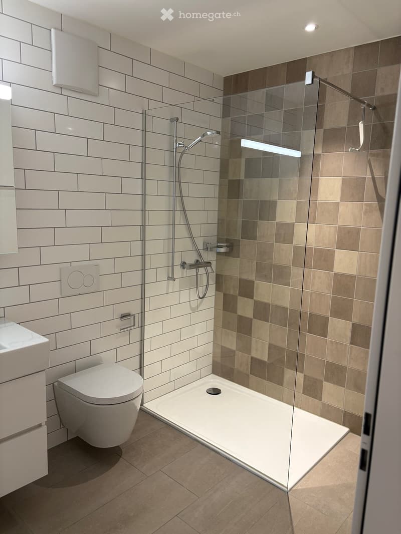 Modern bathroom with white tiles, a glass-enclosed shower, a toilet, and a sink.