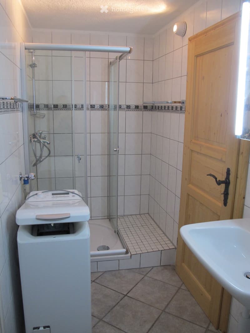 Bathroom with a tiled shower area, a white washing machine, and a sink with a wooden cabinet.