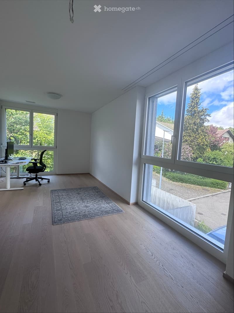 Bright room with wooden flooring, large windows, a chair, a table with a laptop, and a small rug.