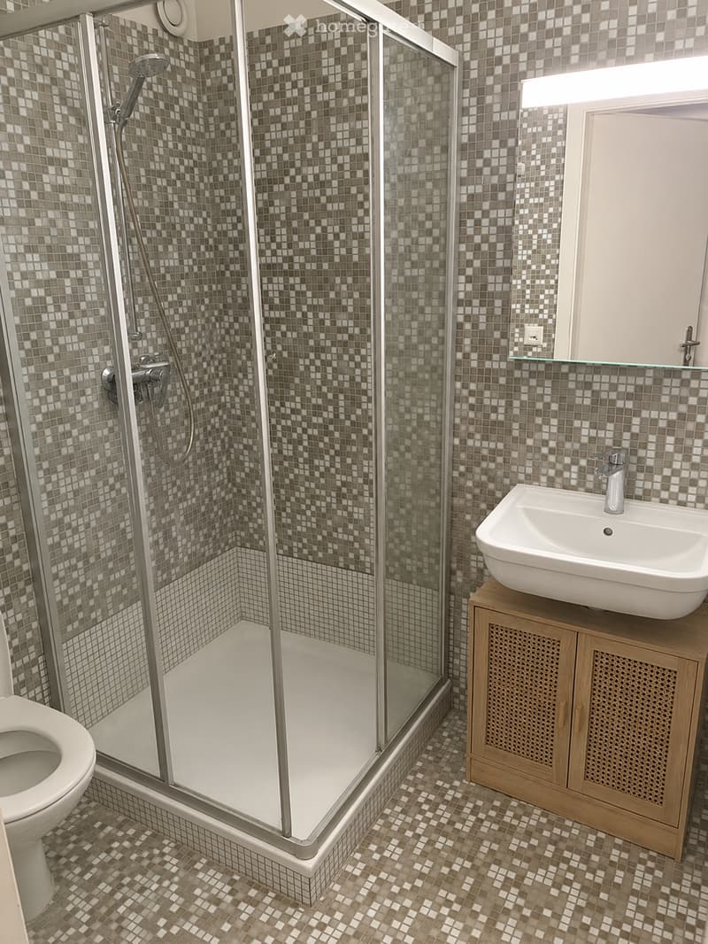 Modern bathroom with a glass-enclosed shower, a toilet, a sink on a wooden cabinet, and mosaic tile walls and floor.