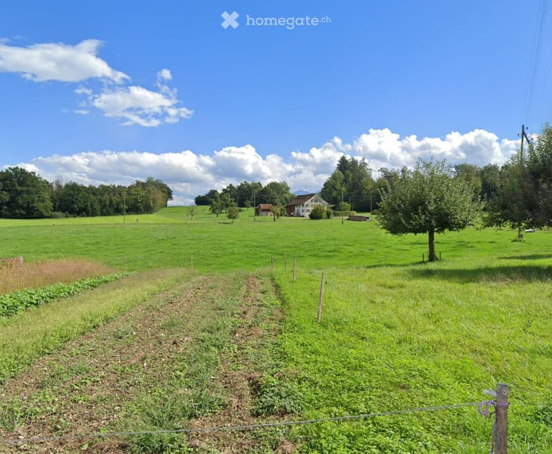 A lush green field with a fence, trees, and a house in the background under a clear blue sky.