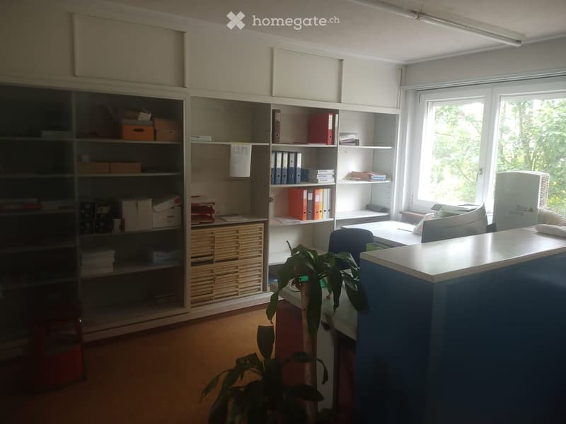 Office space with a desk, chair, plant, shelves, filing cabinets, and office equipment.