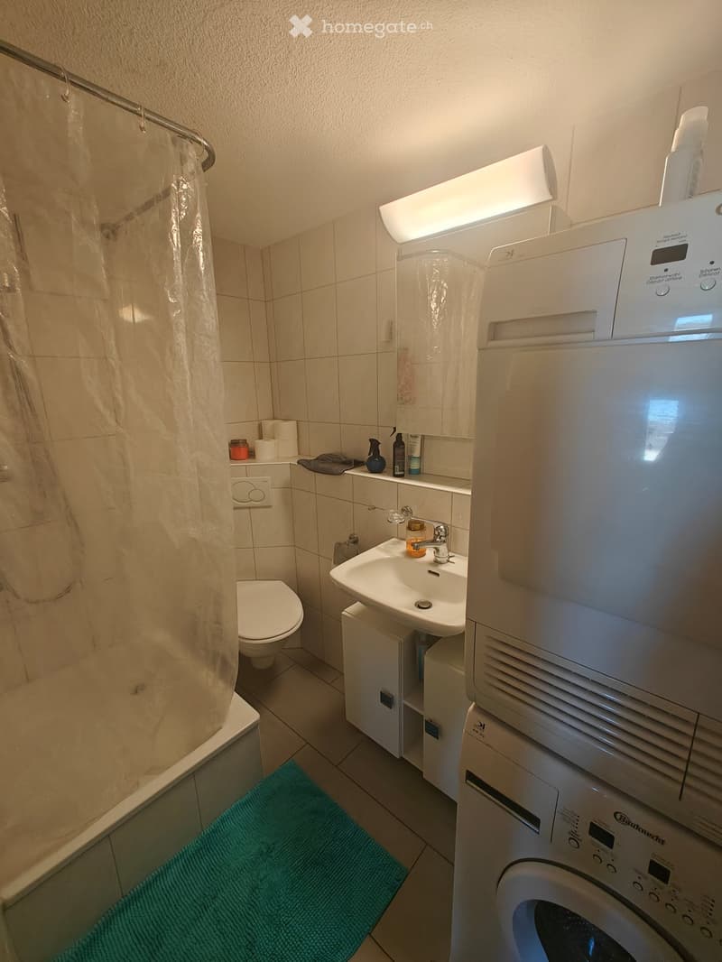 Bathroom with a toilet, sink, mirror, shower curtain, washing machine, and dishwasher. The sink has a faucet and a cup on it. There is a towel on the floor and a bottle on the mirror shelf.