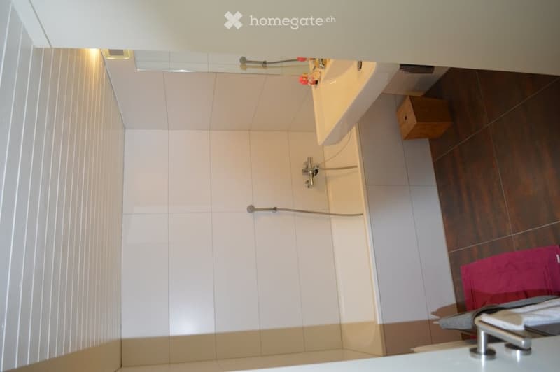 Wohnung in Neuwilen (7)