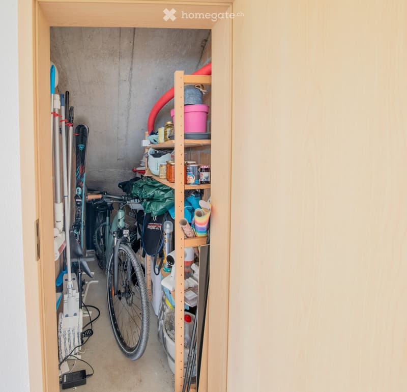 A small, organized storage room with a bicycle, ski, cleaning supplies, and a wooden shelf holding various items.