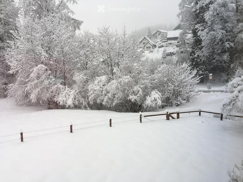A serene snowy outdoor scene with a wooden fence, snow-covered trees, and a distant house partially visible through the trees.