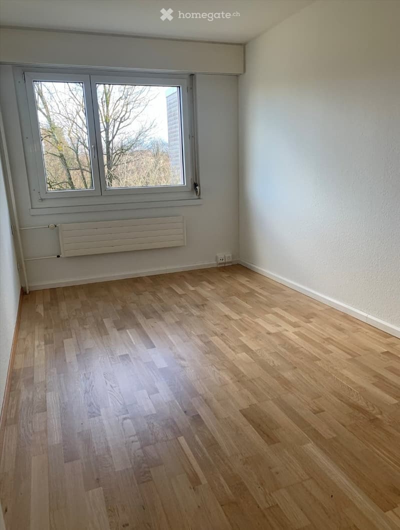 Empty room with light wooden flooring, white walls, large window with view, and radiator below the window.