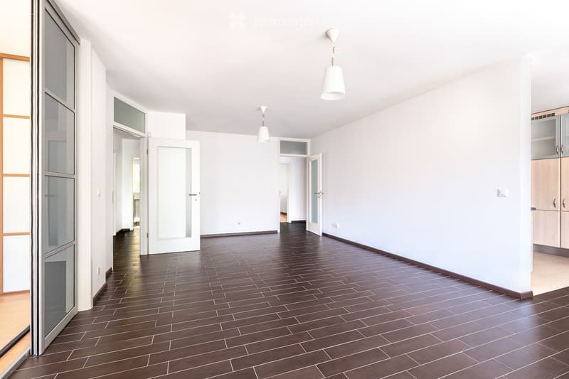 Corridor / Hallway. Empty hallway with dark wooden flooring, white walls, and several doors leading to other rooms. Minimalist design with pendant lights and a small cabinet visible on the right side.