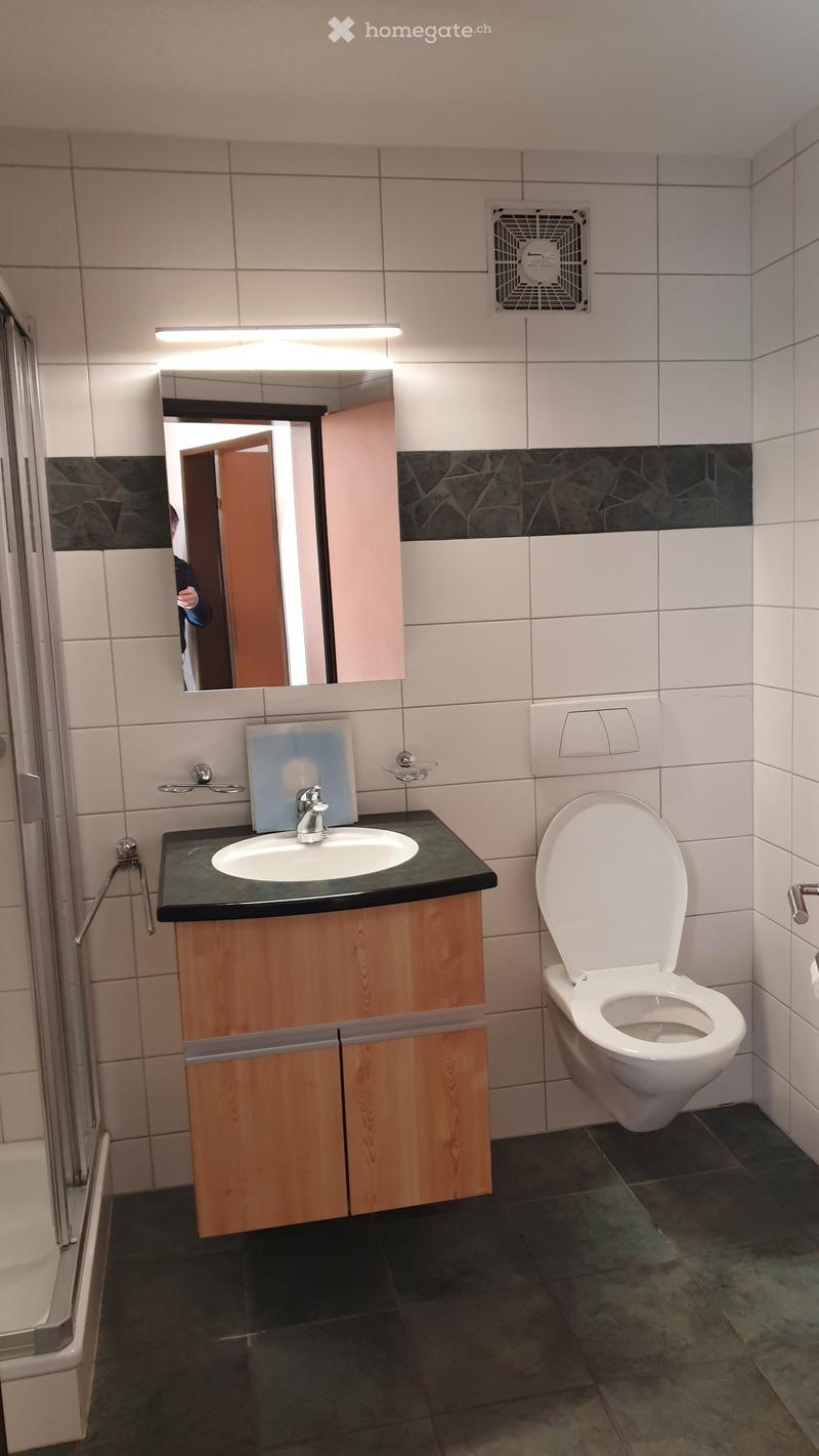 Modern bathroom with white tiles, a wooden sink cabinet, a toilet, and a mirror with built-in lighting.