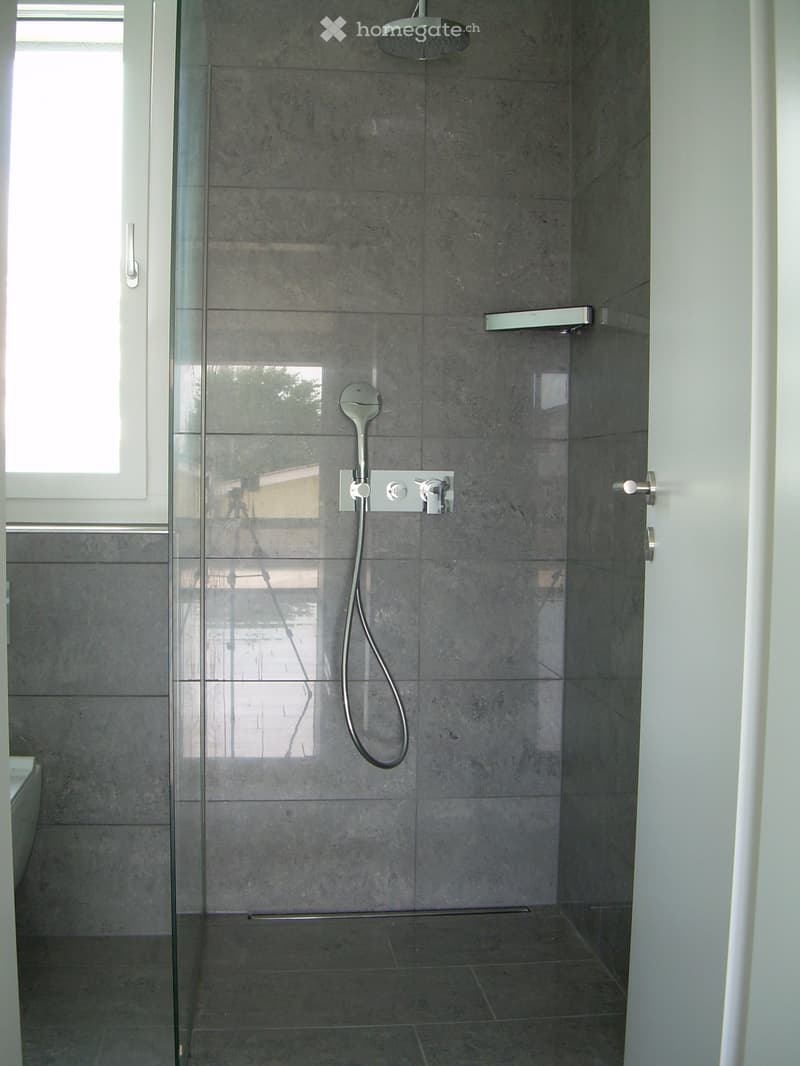 Modern shower area with grey tiled walls, glass enclosure, and multiple shower controls including a handheld sprayer.